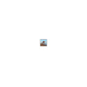 Art ER M60 1:1 manual display semi-a