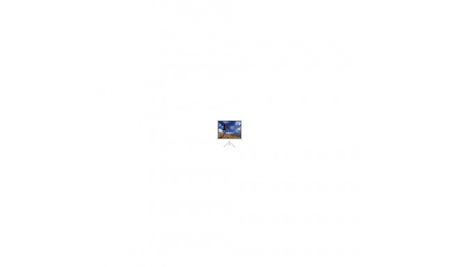 Art ER T72 4:3 manual display with t