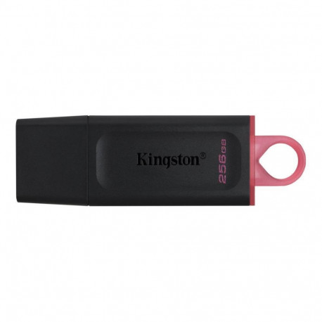 Kingston MEMORY DRIVE FLASH USB3.2/256GB DTX/256GB
