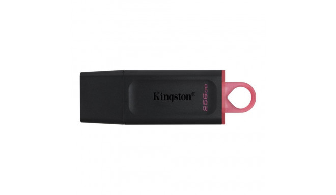 Kingston MEMORY DRIVE FLASH USB3.2/256GB DTX/256GB