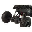 RC Rover 1:16 auto must kaugjuhitav puldiga