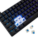 White Shark GK-005121 Hamachi Mechanical RGB / US - Blue SW.