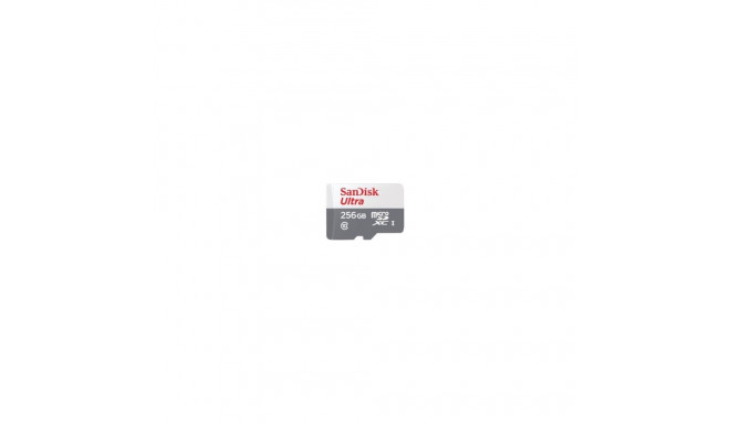 SANDISK BY WESTERN DIGITAL MEMORY MICRO SDXC 256GB UHS-I/SDSQUNR-256G-GN6TA SANDISK