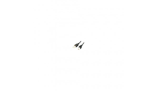 Gembird GEMBIRD CCP-USB2-AMBM-6 Gembird USB 2.0 A- B 1,8m cable black color