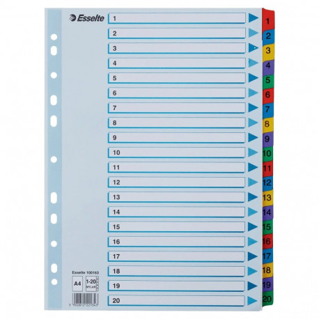 Registrilehed  1-20 värviliste numbritega, kartong, Esselte