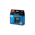 Hähnel Battery Panasonic HL-PLG10HP / DMW-BLG10E