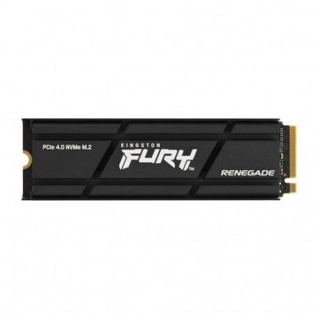 Kingston Technology 2000G RENEGADE PCIe 4.0 NVMe SSD W/ HEATSINK