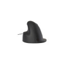 R-Go Tools R-Go HE Break ergonomic mouse, large, right, wired