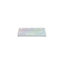 Savio Phenix WHITE GAT RED keyboard Gaming Bluetooth QWERTY International EER