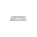 Savio Phenix WHITE GAT YELLOW keyboard Gaming USB + Bluetooth QWERTY US International