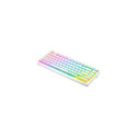 Savio Phenix WHITE GAT RED PUD keyboard Gaming USB + Bluetooth QWERTY US International