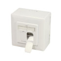 LogiLink NP0124 socket-outlet 2 x RJ-45 Metallic, White