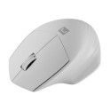 NATEC Siskin 2 mouse Office Right-hand Bluetooth Optical 1600 DPI