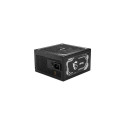 MSI MAG A1000GL PCIE5 power supply unit 1000 W 24-pin ATX ATX Black