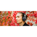 Muse M-278 FB headphones/headset Wireless Head-band Music Bluetooth Black