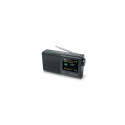 Muse M-117 DB radio Portable Digital Black