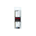Kingston Technology FURY Beast 16GB 6000MT/s DDR5 CL30 DIMM White RGB EXPO