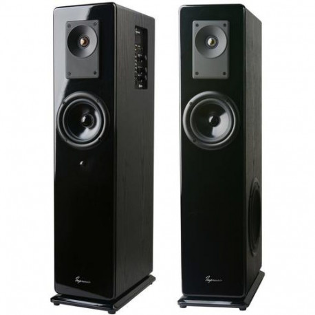 C-TECH VIRTUS loudspeaker Black Wired & Wireless 100 W