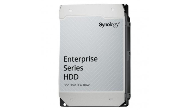 Synology HAS5310-20T internal hard drive 20 TB 7200 RPM 512 MB 3.5&quot; SAS