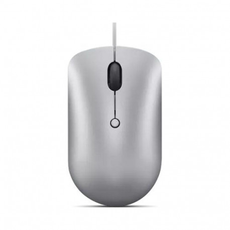 Lenovo 540 mouse Office Ambidextrous USB Type-C Optical