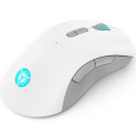Lenovo Legion M600 Wireless Gaming mouse Ambidextrous RF Wireless + Bluetooth + USB Type-A Optical 1