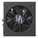 Seasonic Focus GX power supply unit 750 W 20+4 pin ATX ATX Black