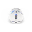 ENDORFY LIX OWH Wireless EY6A010 mouse Gaming Ambidextrous RF Wireless + USB Type-C Optical 16000 DP