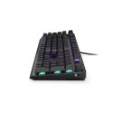 ENDORFY Thock keyboard RF Wireless + USB QWERTY English Black