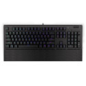 ENDORFY Omnis keyboard Universal USB QWERTY Black