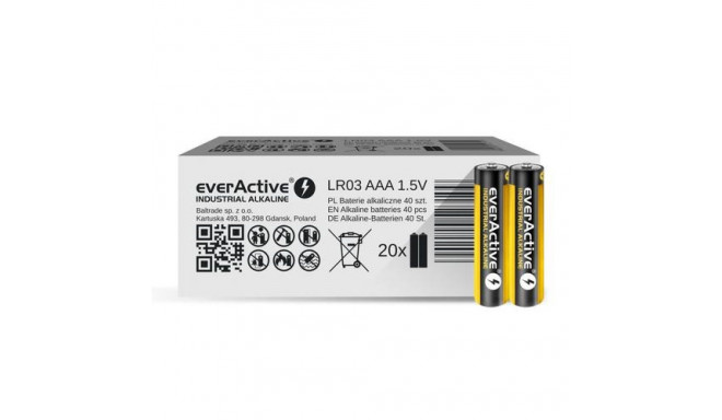 Everactive EVLR03S2IK household battery Single-use battery AAA Alkaline