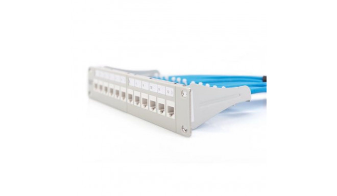 Digitus Modular Patch Panel, 12-port
