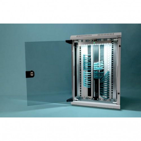 Digitus Combination wall-mounted housing 254 mm (10") and 482.6 (19") mm