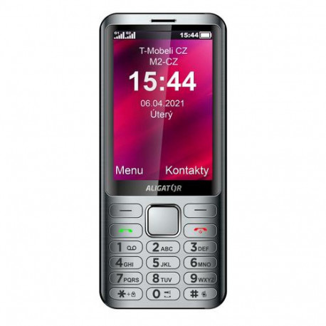 Aligator D950 8.89 cm (3.5") Silver Senior phone