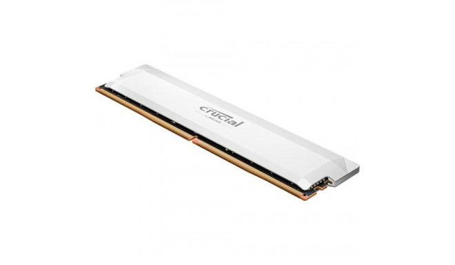 Crucial Pro CP16G60C36U5W memory module 16 GB 1 x 16 GB DDR5 6000 MHz