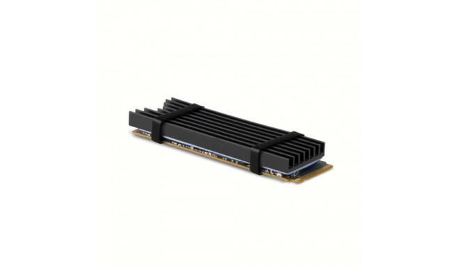 Axagon CLR-M2L6 computer cooling system M.2 NVMe SSD, Solid-state drive Heatsink/Radiator Black 1 pc
