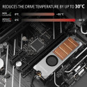 Axagon CLR-M2FAN computer cooling system Solid-state drive Heatsink/Radiatior 2 cm Grey 1 pc(s)