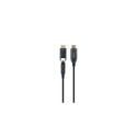 Gembird CCBP-HDMID-AOC-50M HDMI cable HDMI Type D (Micro) HDMI Type A (Standard) Black