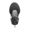 BOYA BY-BM3031 microphone Black Digital camera microphone
