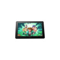 BOSTO BT-12HDT graphic tablet Black 5080 lpi 258 x 145 mm USB