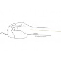 BakkerElkhuizen Evoluent4 Mouse (Right Hand)
