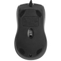 Targus AMU81AMGL mouse Ambidextrous USB Type-A Optical 1000 DPI
