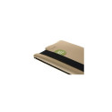 Acme Made AM10631-SLV SKINNY SLEEVE GOLD FOR IPAD PRO 9.7IN 24.6 cm (9.7&quot;) Sleeve case