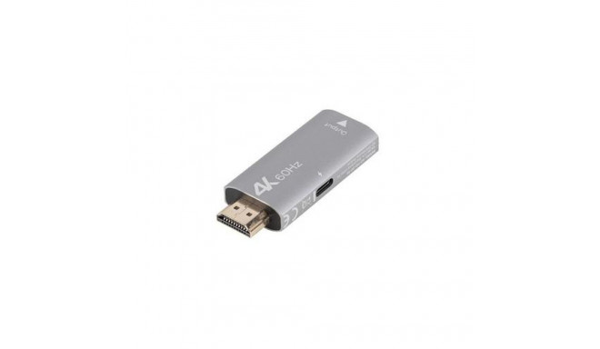 Lanberg AD-HD-DP-01 video cable adapter 0 m HDMI Type A (Standard) DisplayPort Silver