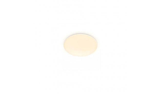Philips Functional Moire Ceiling Light 20 W