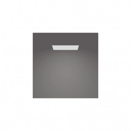 Philips Functional Panel Ceiling Ceiling Light 36 W Rectangular