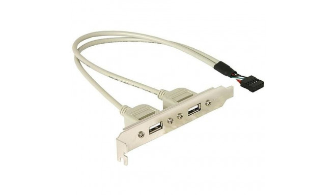DeLOCK Slotbracket 1x internal USB 5pin &gt; 2x USB2.0 external