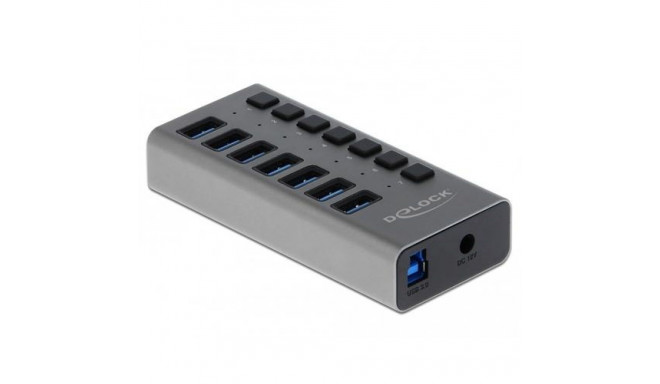 DeLOCK External USB 5 Gbps Hub with 7 Ports + Switch