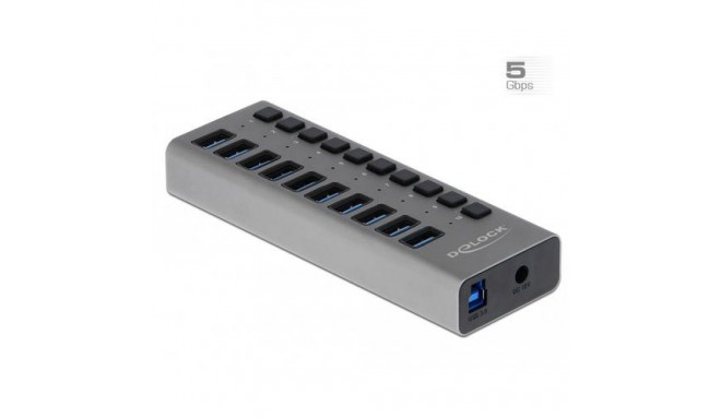 DeLOCK External 5 Gbps USB Hub with 10 Ports + Switch
