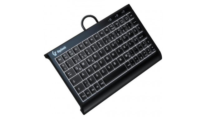 KeySonic KSK-3011ELC (DE) keyboard Home USB QWERTZ German Black