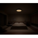 Xiaomi Smart Ceiling Light D40 45W
